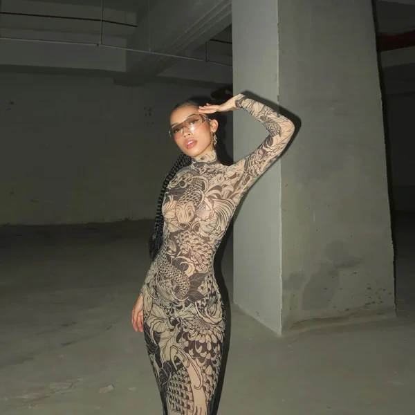 2025 Spring Summer Collection New Fashion Satin for Women High Neck Slim Fit Mesh Printed Sheer Knee-Length Natural Parties - Image 4